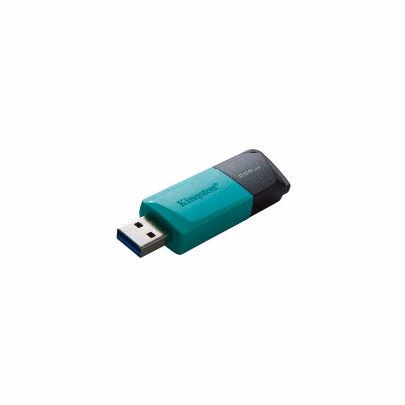 Kingston 256GB USB3.2 Gen 1 DataTraveler Exodia M (Black + Teal)