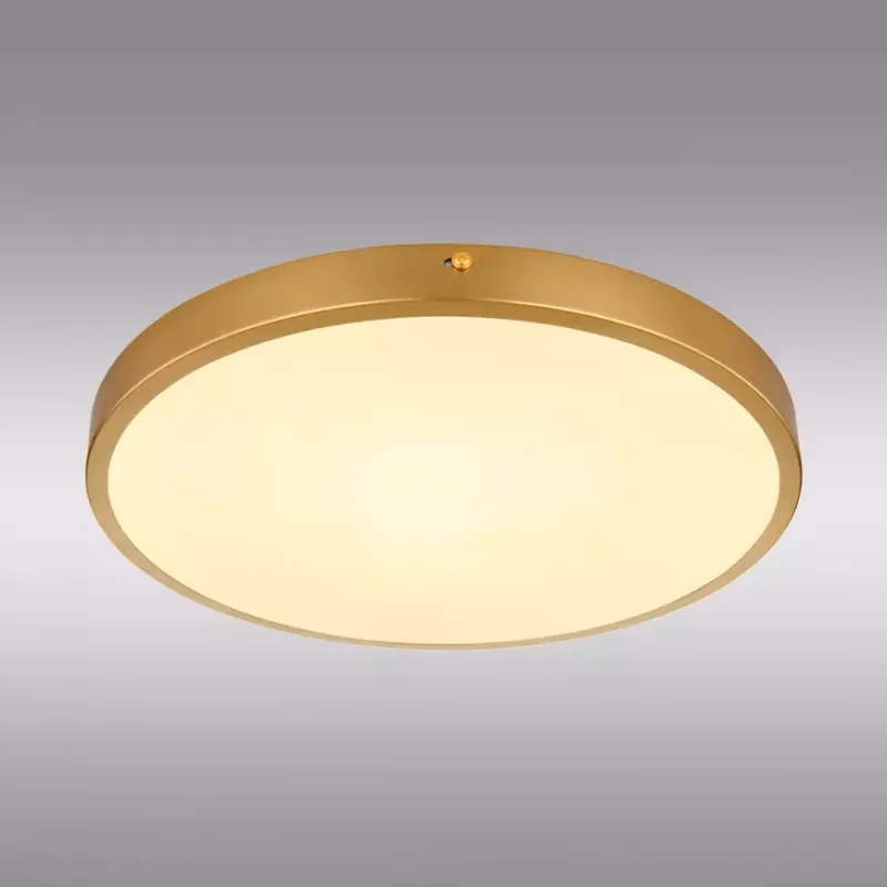 Stropná lampa Tibey 12381-22 LED PL1