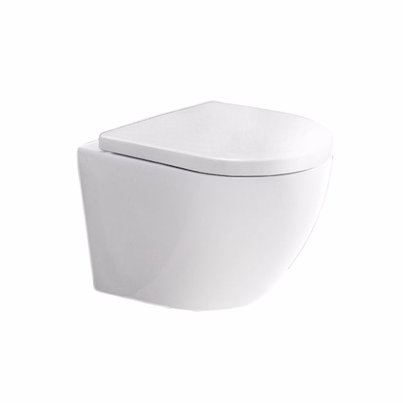 Mereo WC závesné kapotované, RIMLESS, 490x370x360, keramické, vr. sedátka CSS126 VSD82S2