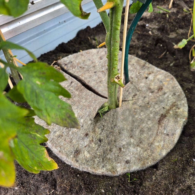 Prírodná záhradná vlna Mary's Disc, 45 cm
