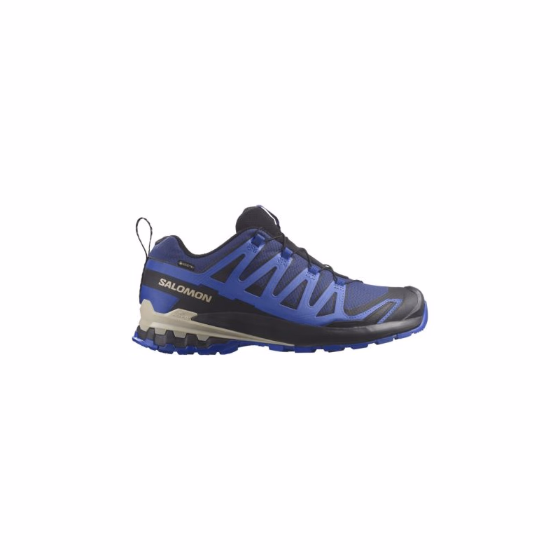 Pánska bežecká trailová obuv SALOMON XA Pro 3D V9 GTX blue print surf the web lapis blue