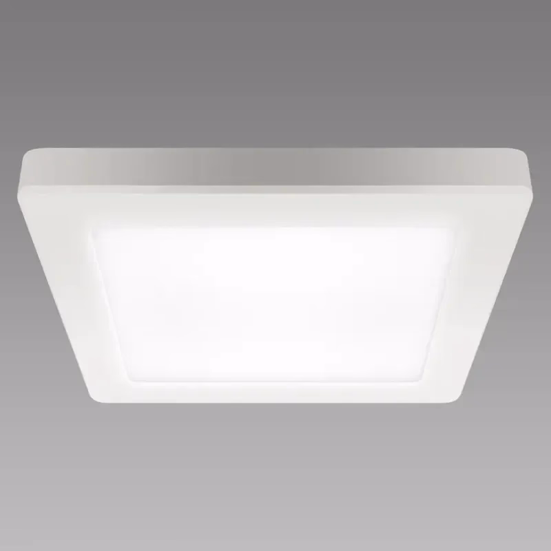 Stropné svietidlo OLGA LED D 24W WHITE CCT 04063 PL1