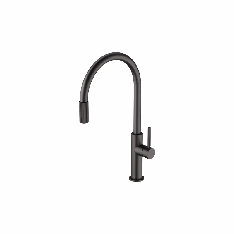 OMNIRES OMNIRES - SWITCH drezová batéria so sadou filtra D1, grafit SW9057-FD1GR