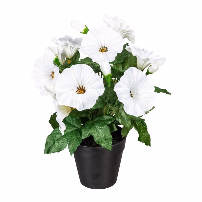 Petúnia x9 kvetov, biela, 28cm