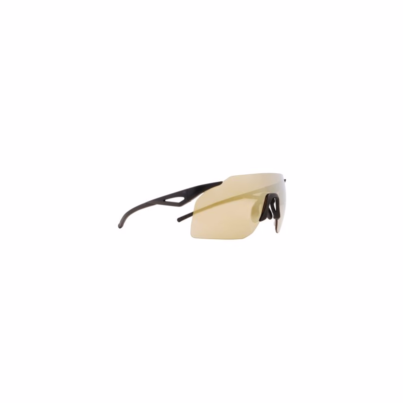 Slnečné okuliare RED BULL SPECT GABE-04, black brown with gold mirror