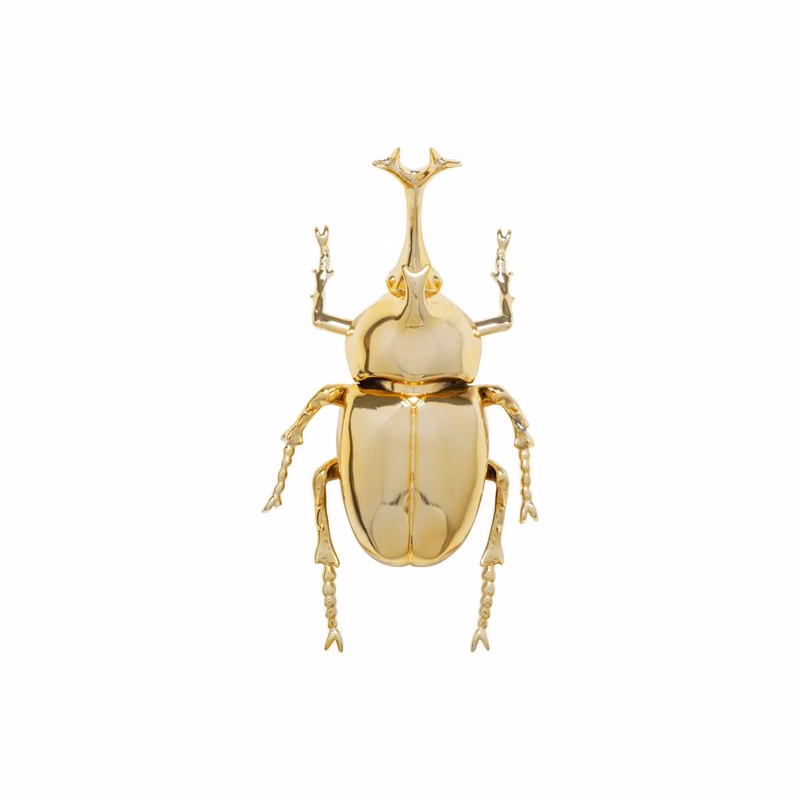 Stag Beetle Gold dekorácia na stenu 41 cm