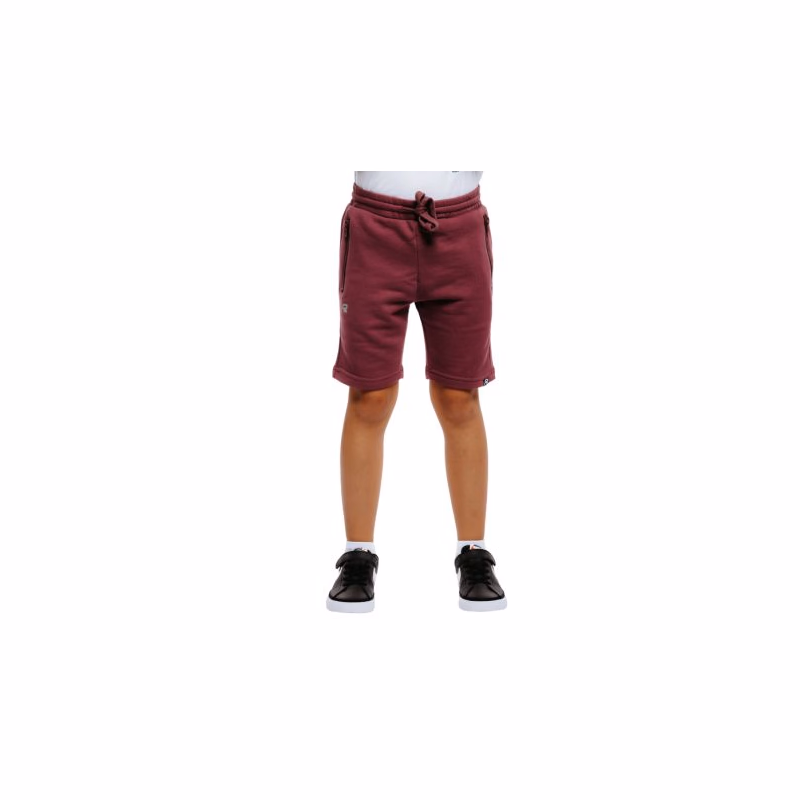 Chlapčenské kraťasy AUTHORITY TS-BASIC ZIP B bordo