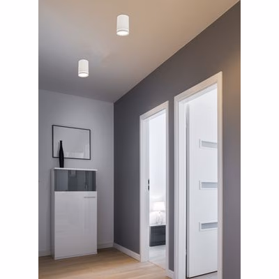 Stropné svietidlo 1x15W gu10 biele matné