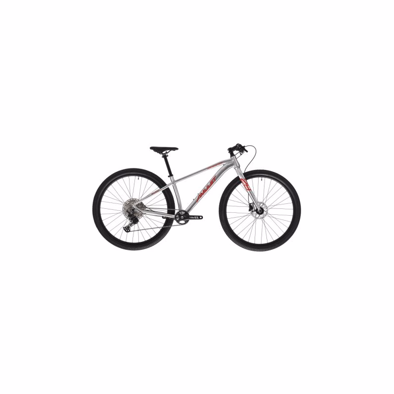 Juniorský horský bicykel AMULET 29 Youngster 1.11 SH, alu brushed transparent red