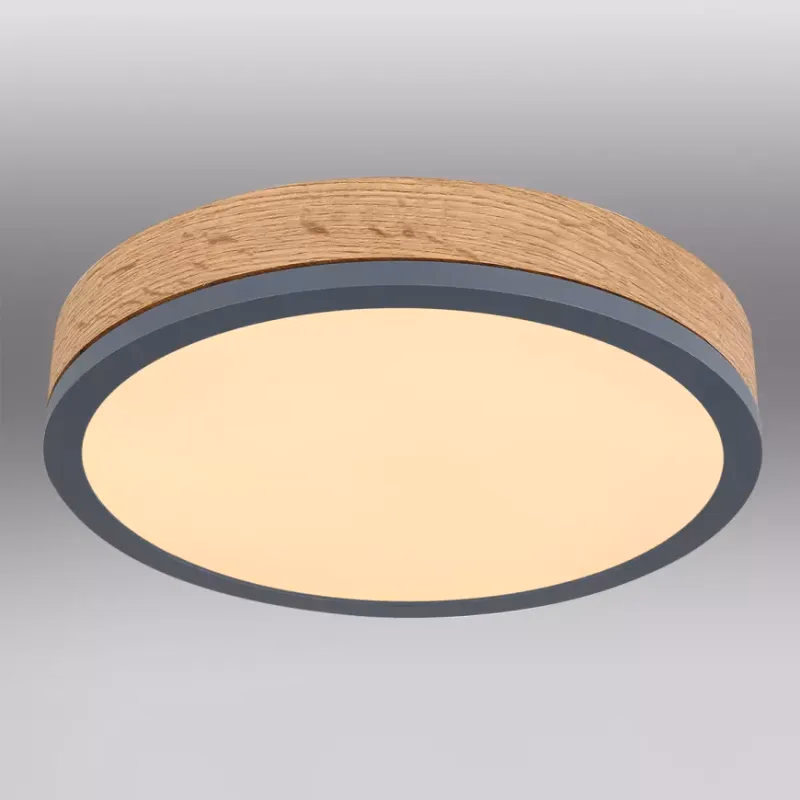 Stropnica 416080WD1R LED 12W grafit PL