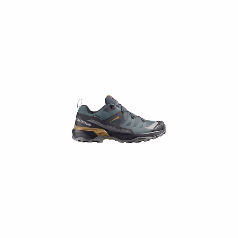 Pánska nízka turistická obuv SALOMON X Ultra 360 GTX M urban chic black plantation