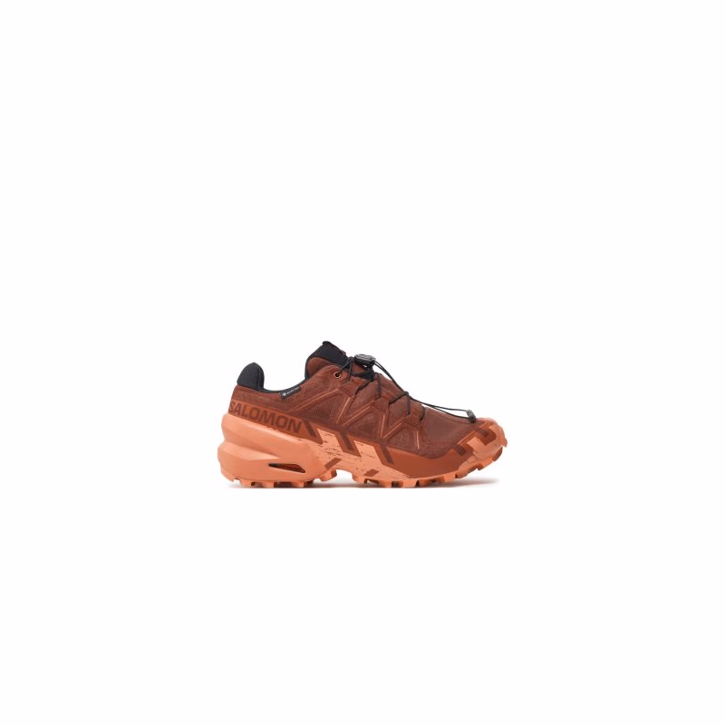 Dámska bežecká trailová obuv SALOMON Speedcross 6 GTX W rum raisin barn red canyon clay