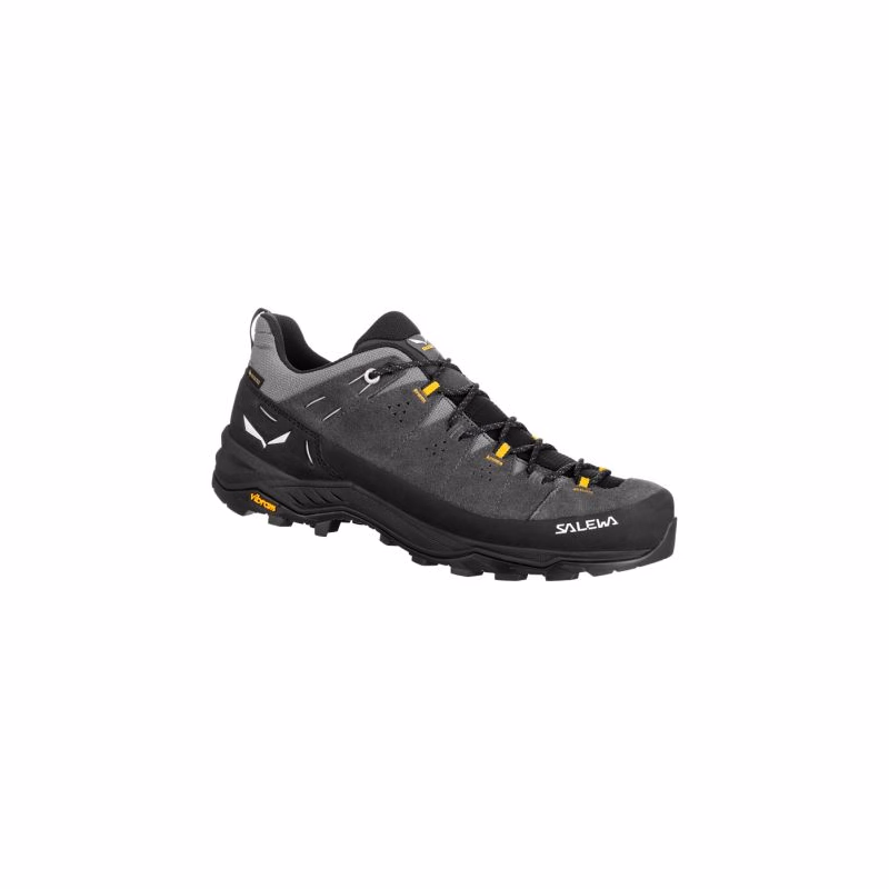 Pánska nízka turistická obuv SALEWA Alp Trainer 2 GTX Shoe M onyx black