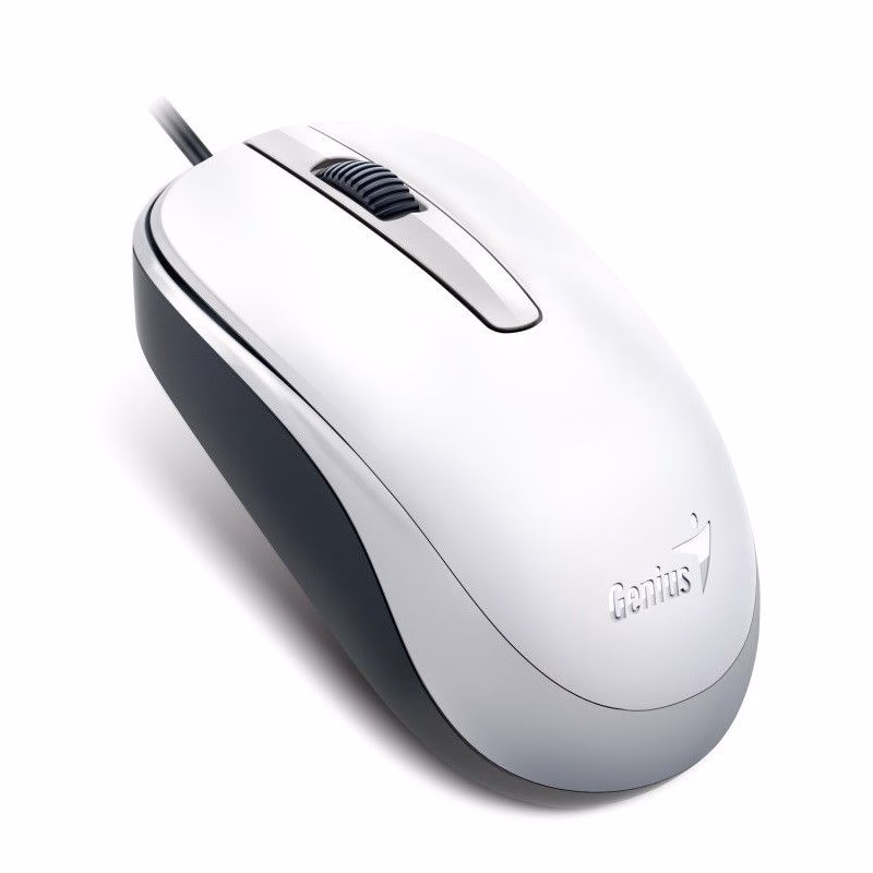 GENIUS myš DX-120, drôtová, 1200 dpi, USB, biela