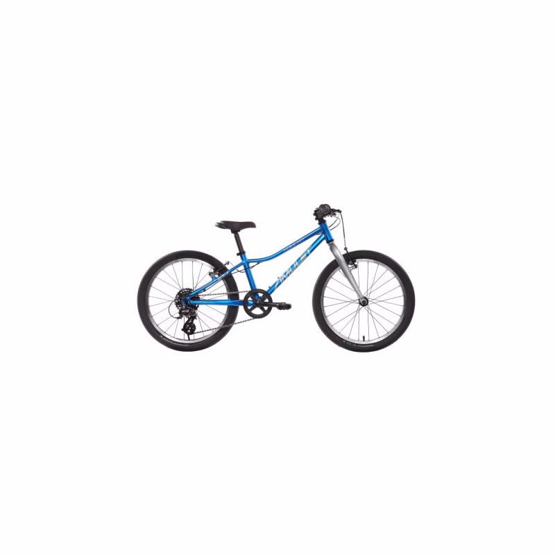 Detský horský bicykel AMULET 20 Tomcat SH SMU, strong blue silver