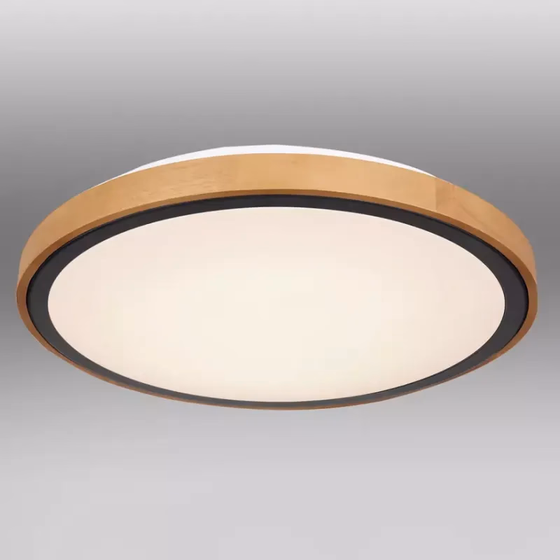 Stropnica 41764-24 LED 24W čierna PL