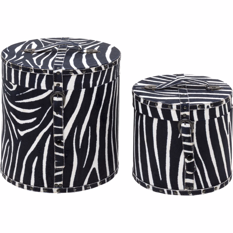 Box Wild Animal Zebra (sada 2 ks)