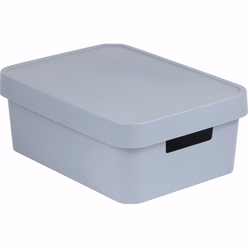 CURVER Úložný box INFINITY 11l s vekom | sivá