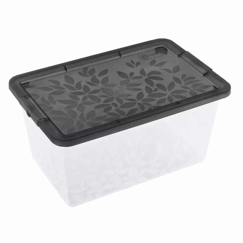 Úložný box Jasmine 5,5l