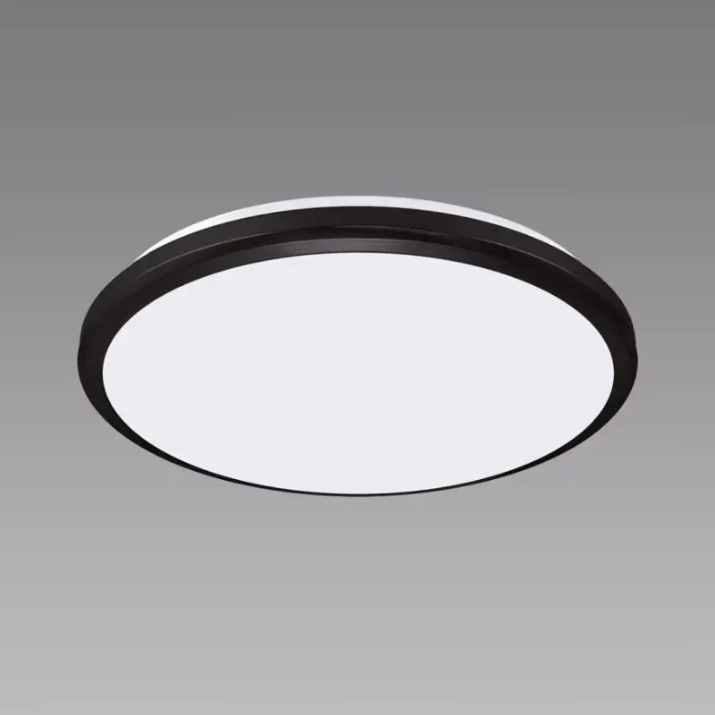 Stropná lampa Dowbor LED C 12W black NW PL1