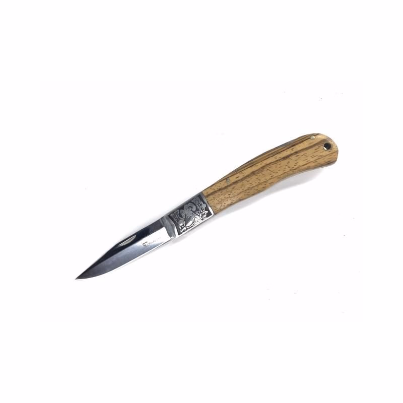 Turistický nožík ARIES, 22 cm