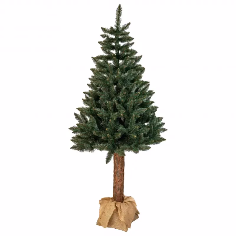Smrek na kmeni 220 cm