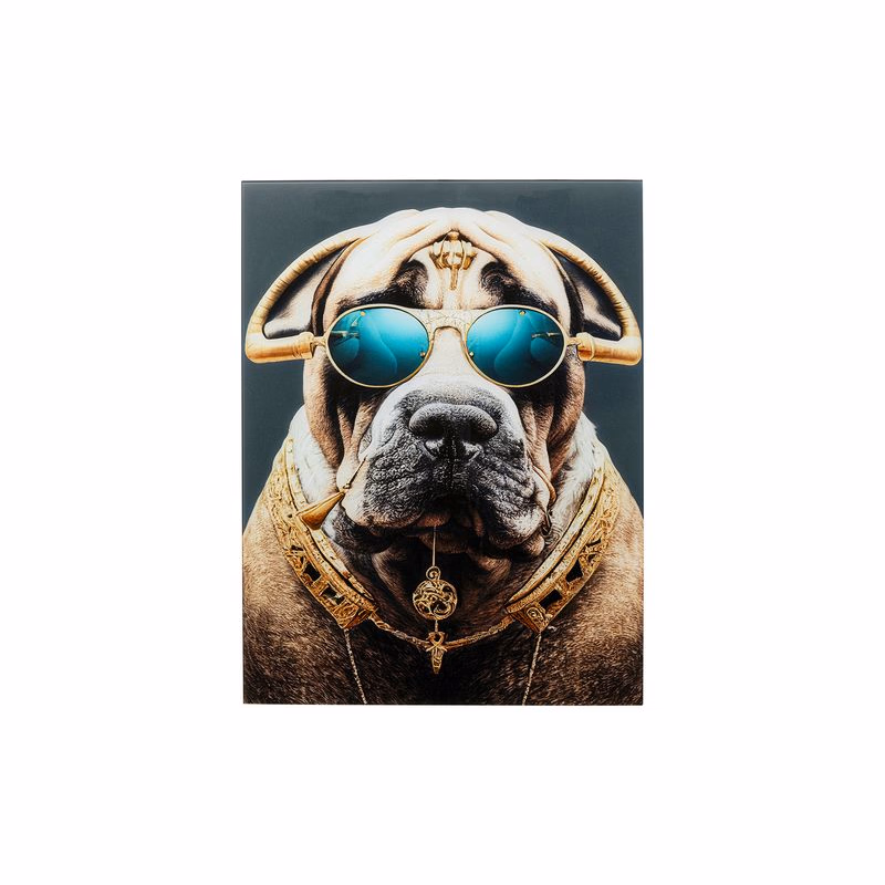 Fashion Dog sklenený obraz viacfarebný 60x80 cm