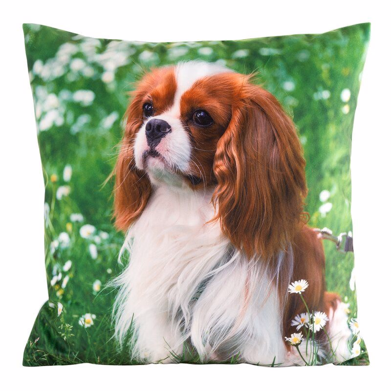 ArtFir Obliečka na vankúš ANIMAL 74 | zelená 45 x 45 cm