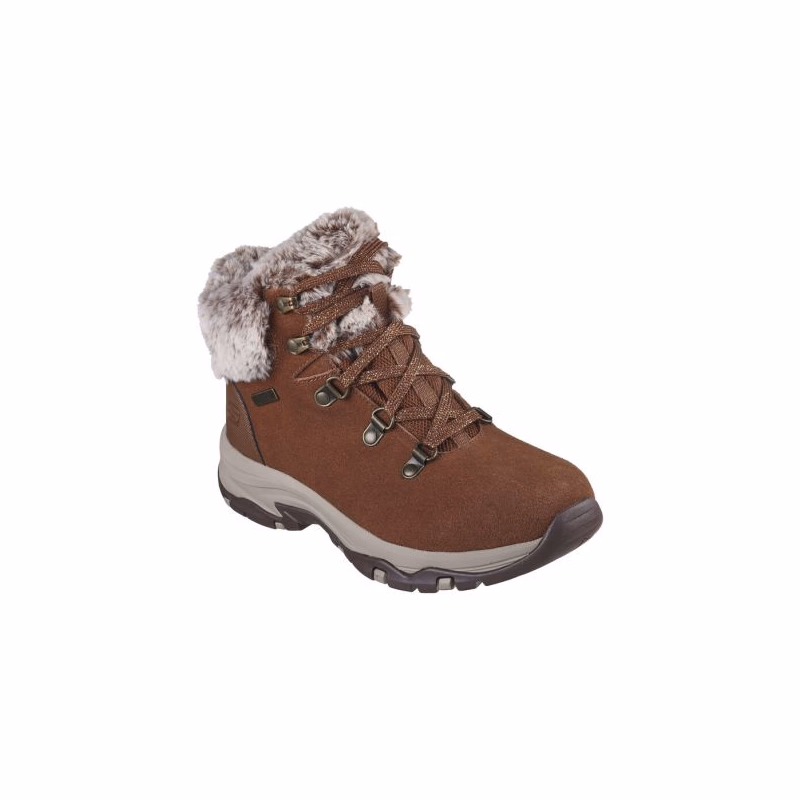 Dámske členkové zimné topánky SKECHERS Trego Falls Finest chestnut