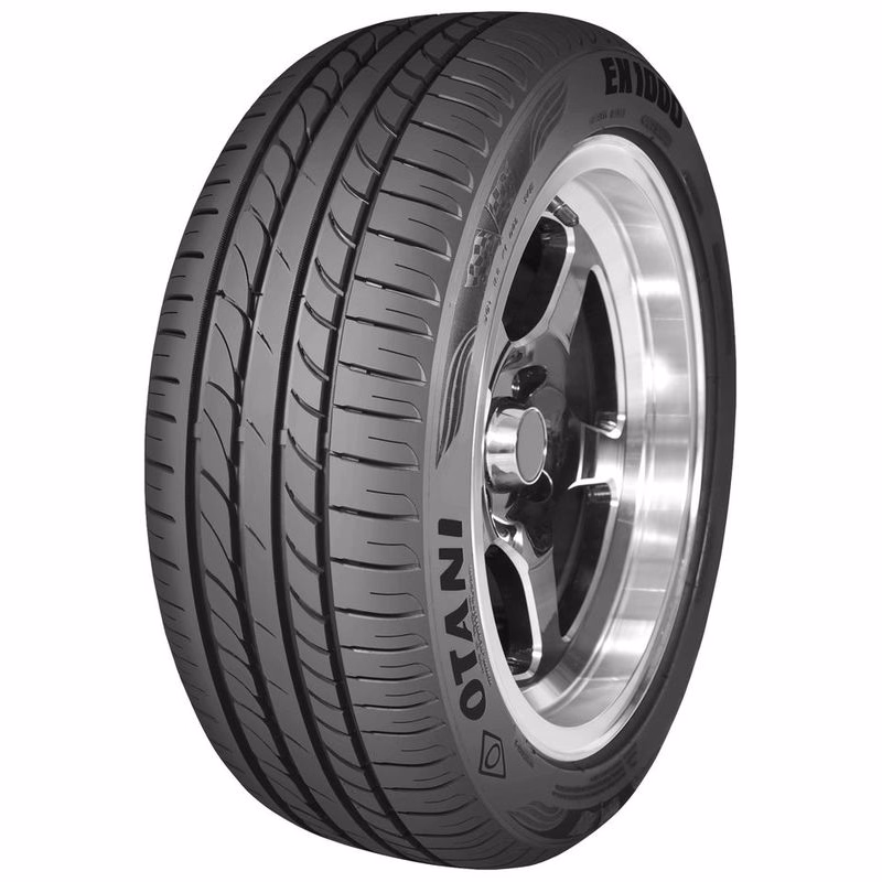 OTANI EK1000 215/65 R16 98 V Letné