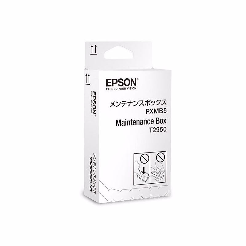 EPSON T2950 (C13T295000) - originálny