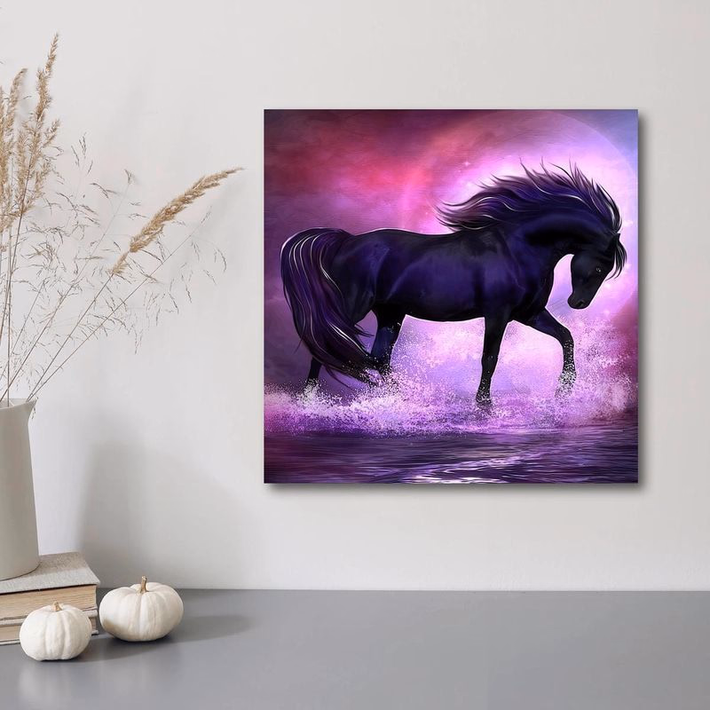 Diamantové maľovanie Black Horse