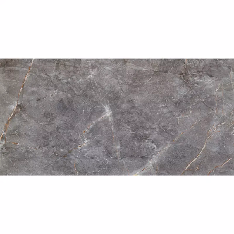 Visine Grey Gloss 59,8/119,8