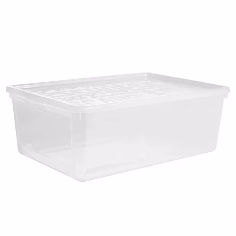 Box na topánky Basic Box s klapkou