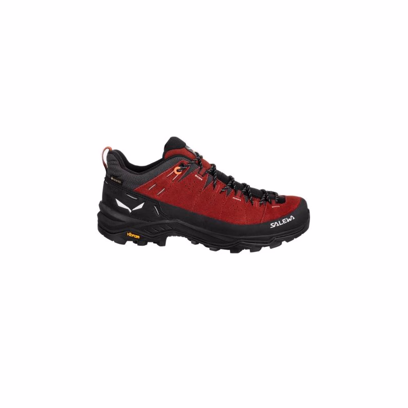 Dámska nízka turistická obuv SALEWA Alp Trainer 2 GTX W syrah black