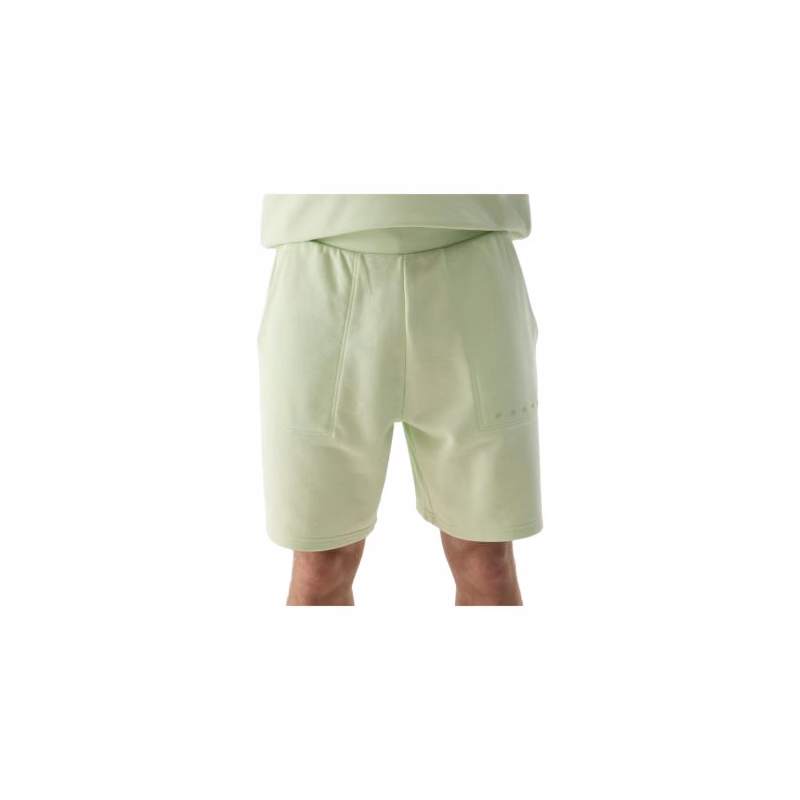 Pánske teplákové kraťasy 4F SHORTS CAS-WSS24TSHOM330-42S-LIGHT GREEN