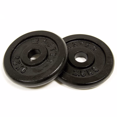 Kotúč MASTER 2,5 kg kov (pár)