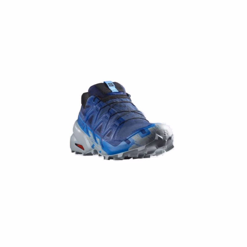 Pánska bežecká trailová obuv SALOMON Speedcross 6 GTX blue print ibiza blue quarry