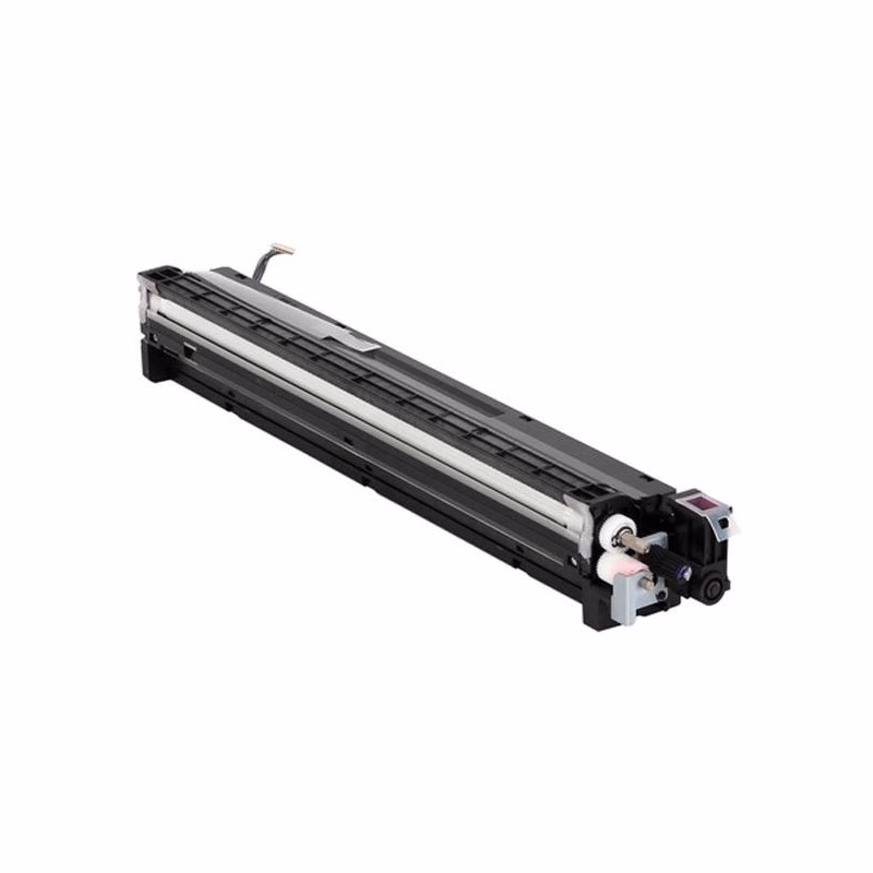 RICOH D1773022 - originálny