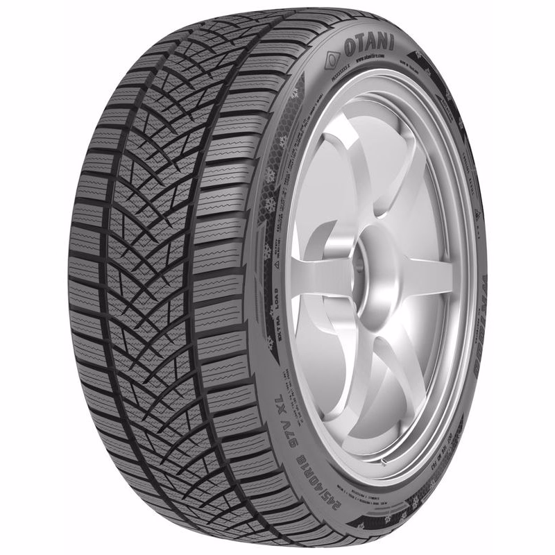 OTANI WK1000 205/55 R16 91 H Zimné
