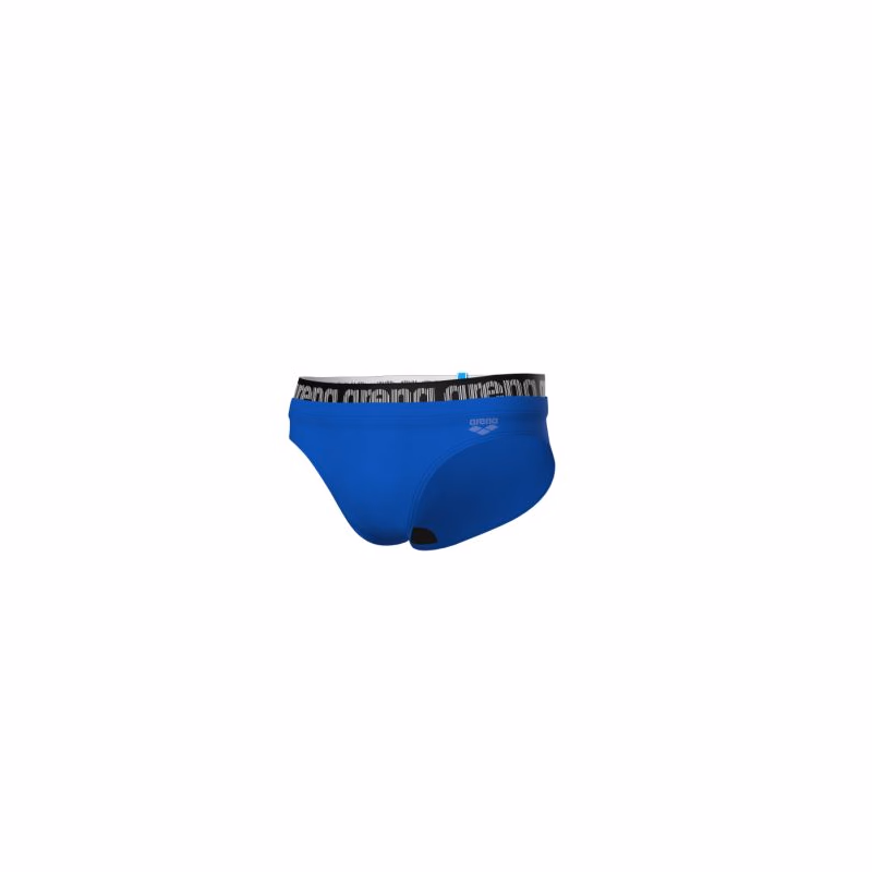 Pánske plavecké plavky ARENA MENS ELASTIC LOGO SWIM BRIEFS