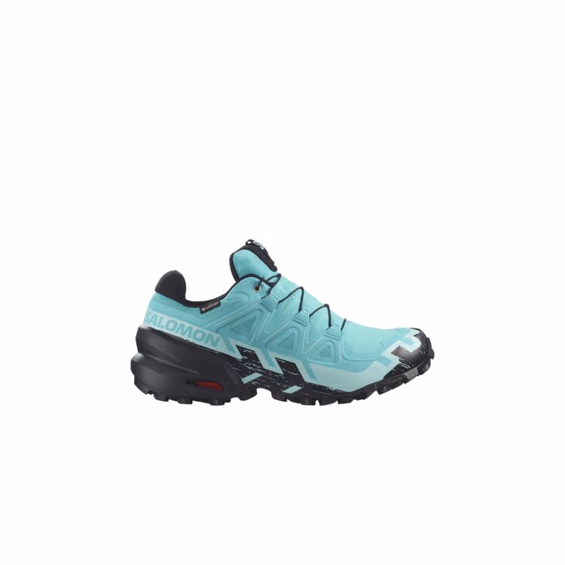 Dámska bežecká trailová obuv SALOMON Speedcross 6 GTX W blue curacao black iced aqua