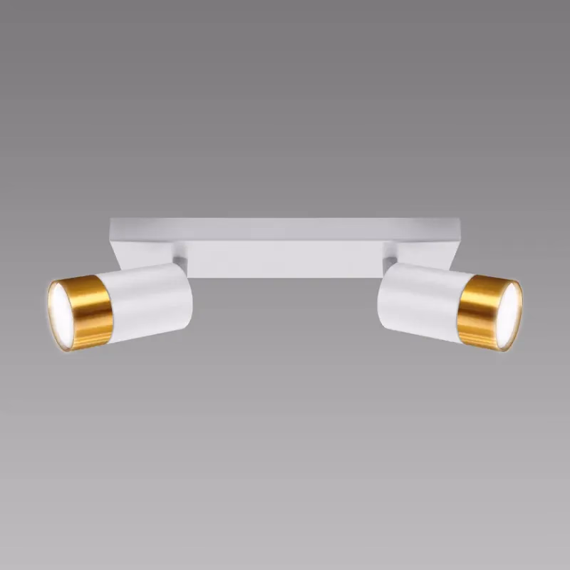 Stropné bodové svietidlo  PUZON SPT GU10 2L WHITE/GOLD 04124 LS2