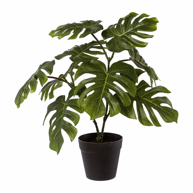 Umelá rastlina Philodendron