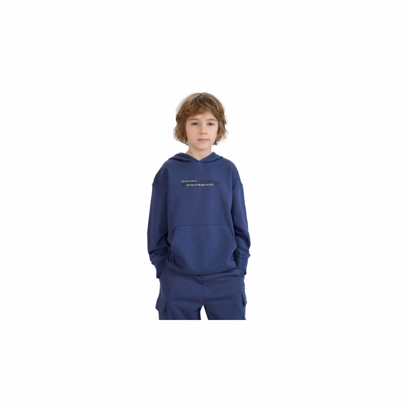 Chlapčenská mikina s kapucňou 4F JUNIOR SWEATSHIRT-JWSS25TSWSM1511-22S-GREY
