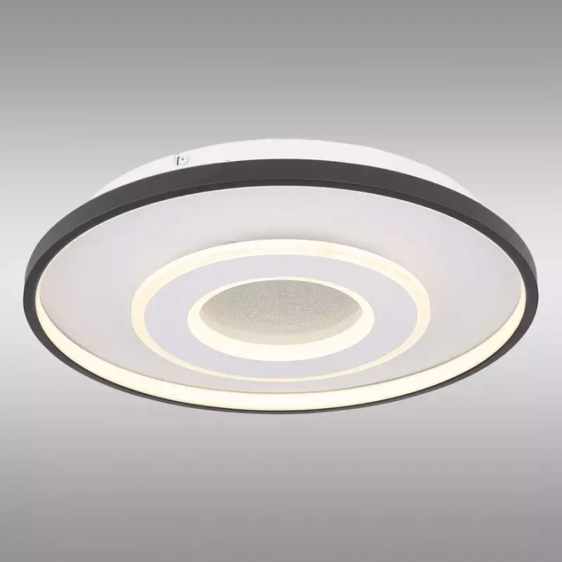 Stropná lampa Brienna 48552D LED PL1