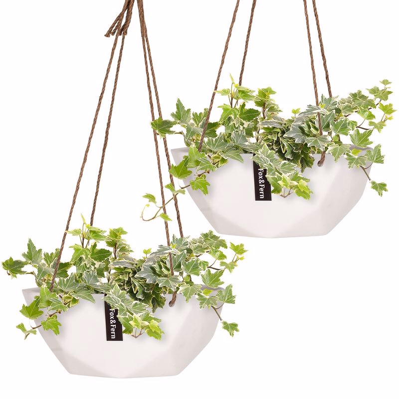 Blumfeldt Laren, závesný kvetináč, Ø 28 cm, Polystone, s prírodnými lanami, súprava 2 kusov