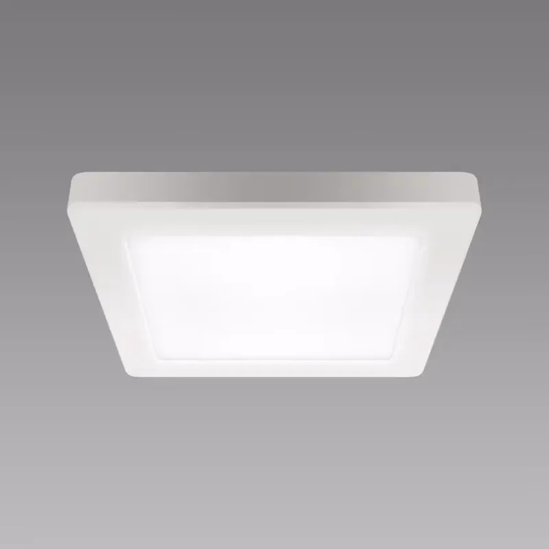 Stropné svietidlo prisadené OLGA LED D 12W WHITE CCT 04061 PL1