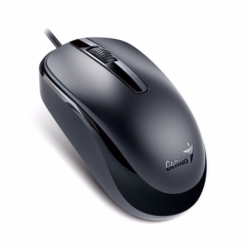 GENIUS myš DX-120, drôtová, 1200 dpi, USB, čierna