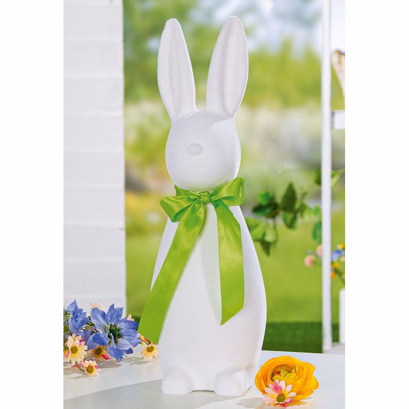 Bunny "Jimmy", svetlo